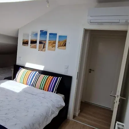 Appartement Villa Trencat Biscarrosse Exterior photo
