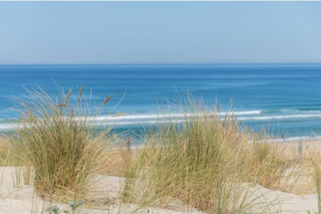 Apartment Trencat Biscarrosse